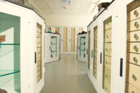 Visible Museum Storage - Glass front flat file cabinets