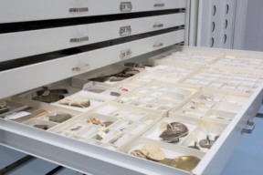 Museum cabinets to keep your artifacts organized and accessible